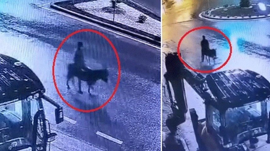 Kuyumcudan altınları çalıp eşekle kaçırmıştı… Cezası belli oldu