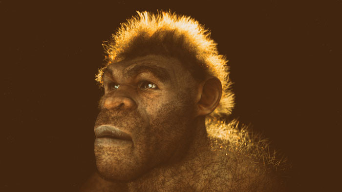 NEANDERTAL İMAJI YENİDEN YAZILIYOR