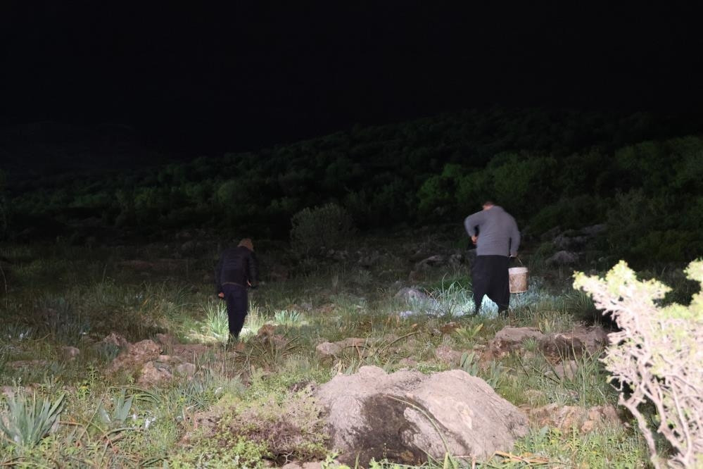  Ek gelir kapısı oldu 35 liradan satıyorlar