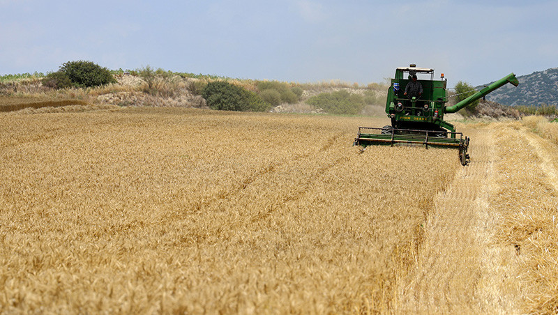 GEÇTİĞİMİZ YIL BUĞDAY VE ARPA FİYATLARI 2025 NE KADAR OLDU