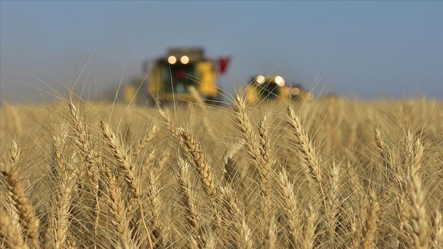 GEÇTİĞİMİZ YIL BUĞDAY VE ARPA FİYATLARI 2025 NE KADAR OLDU