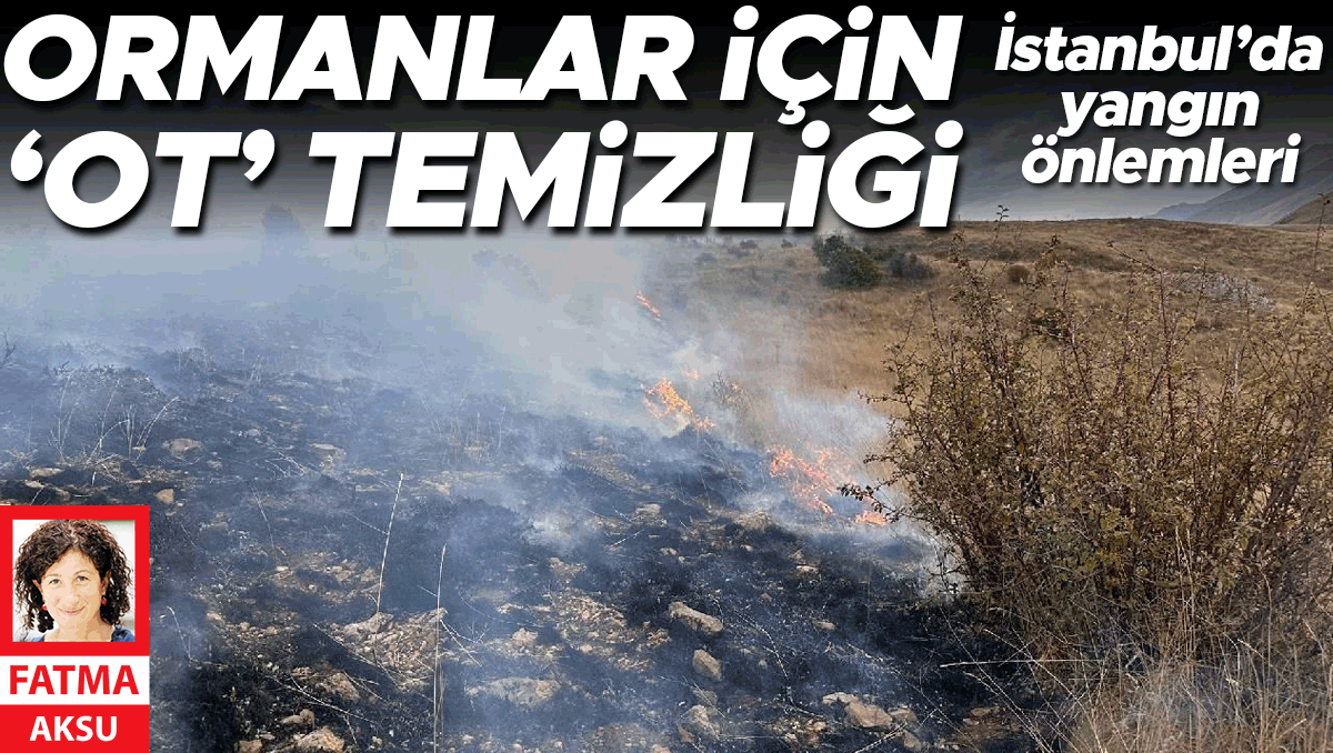 Ormanlar için ‘ot’ temizliği