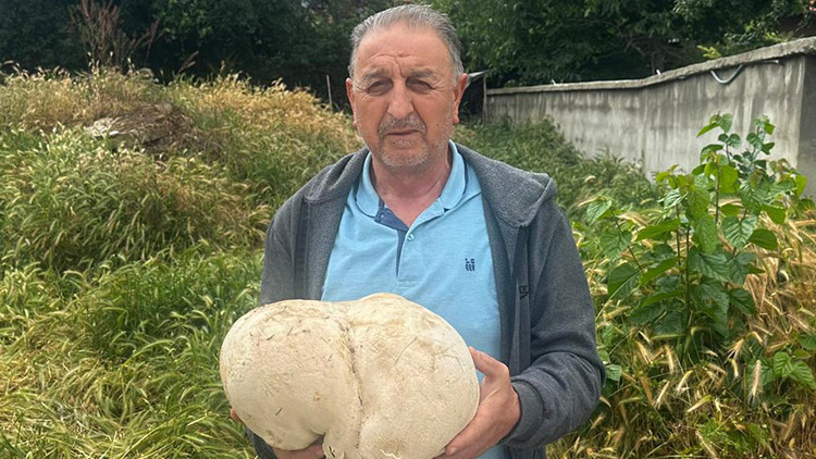Ispartalı vatandaş evinin bahçesinde buldu: Tam 3,5 kilo | 'Ne olduğunu anlayınca çok şaşırdım'