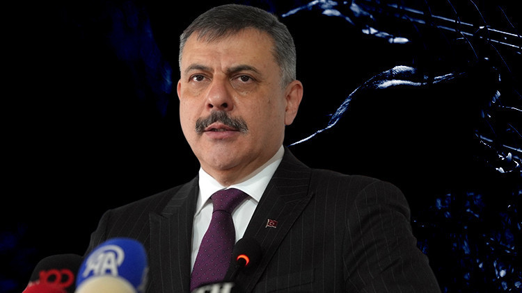 Bu illerde yüzde 100'ü toplandı | Bakan Çiftçi tarih verdi: Sokak hayvanı sorunu bitecek