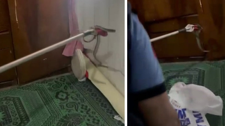 Eve giren yılan paniğe neden oldu! İtfaiye ekipleri yakalayarak doğaya saldı