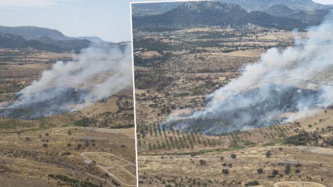 Çanakkale'de orman yangını: Havadan ve karadan müdahale ediliyor