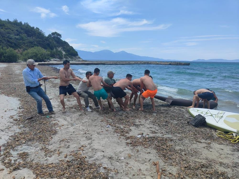  3,85 metre uzunluğunda Köpekbalığı incelemeye alındı