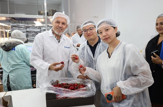 Türk kirazı tek yön Çin bileti peşinde