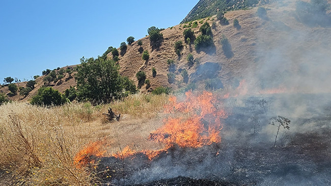 Diyarbakır'da örtü yangını: Kontrol altına alındı