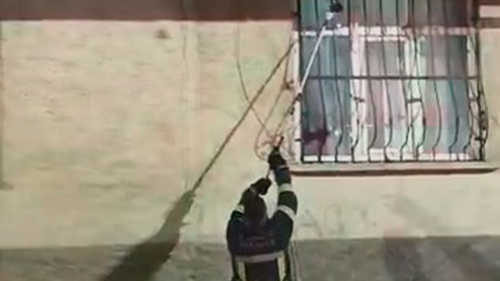 Bir evin pencere korkuluğuna çıkan yılan, yakalanarak doğaya bırakıldı