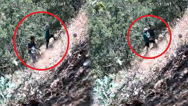 CHP ilçe başkanı ve oğlu fotokapana yakalandı: Kenevir tarlasını sularken görüntülendi! Başkanın oğlunun ifadesi ortaya çıktı