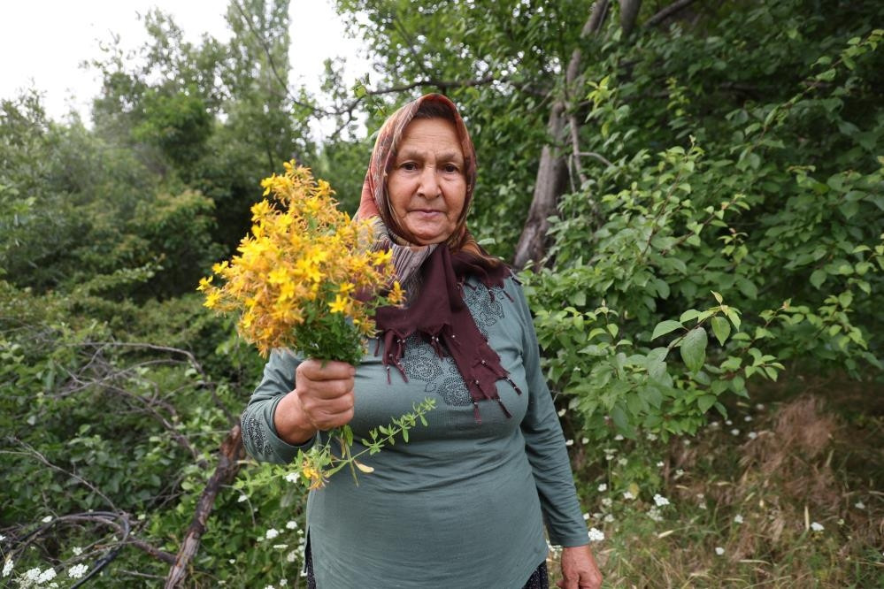  Doğadaki şifayı ilaç yapıyoruz