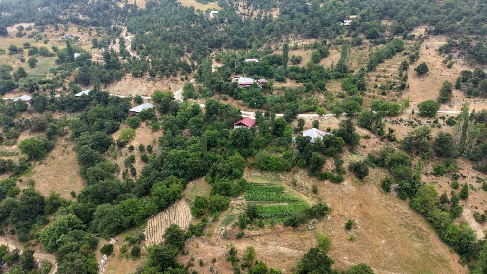  Doğadaki şifayı ilaç yapıyoruz