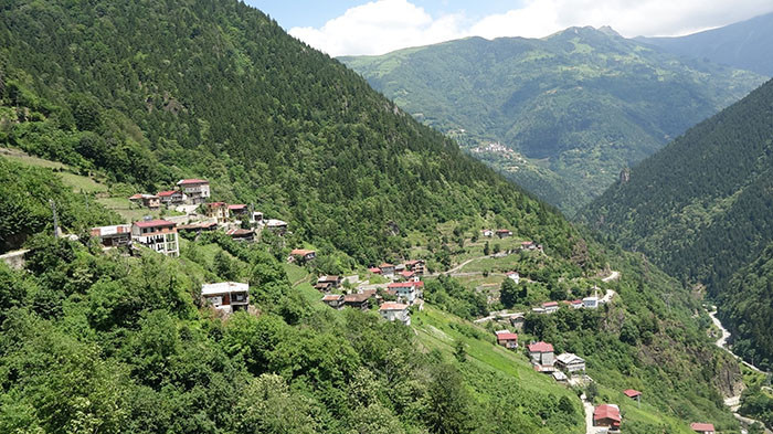  İnsanlar gelsin diye yaptılar | Bunlara fovorohter diyoruz, farklı bir atmosfer oldu