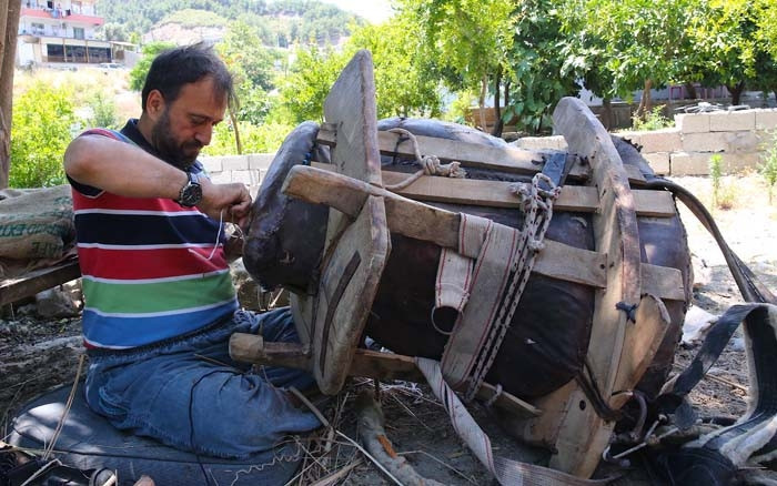  Son temsilci olarak Hatayda yaşıyor Bu kokuyu duymazsam yatamam