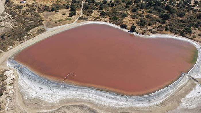 Yeniden pembe rengine büründü Yeniden pembe rengine büründü