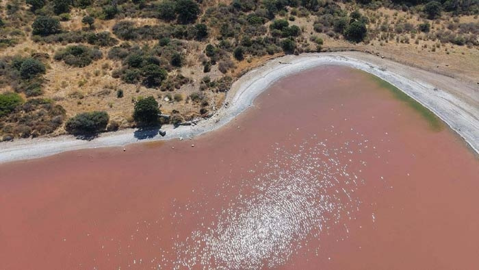 Yeniden pembe rengine büründü Yeniden pembe rengine büründü