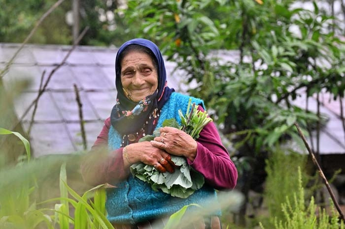 Külfeti darı yaptık Külfeti darı yaptık