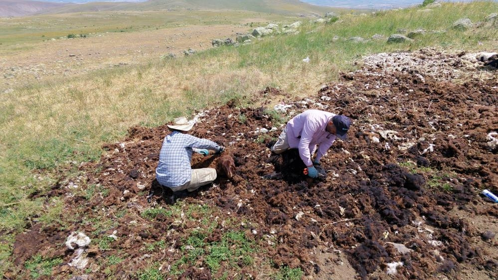  Şimdi imha ediliyor