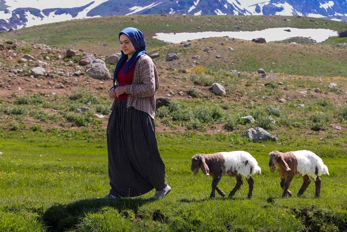 Annesi kabul etmedi ama vazgeçmedi Nereye gitsem peşimden geliyorlar Annesi kabul etmedi ama vazgeçmedi Nereye gitsem peşimden geliyorlar
