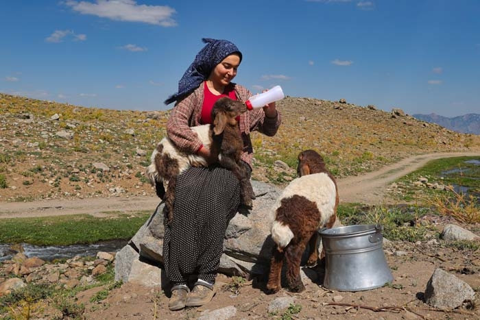 Annesi kabul etmedi ama vazgeçmedi Nereye gitsem peşimden geliyorlar Annesi kabul etmedi ama vazgeçmedi Nereye gitsem peşimden geliyorlar