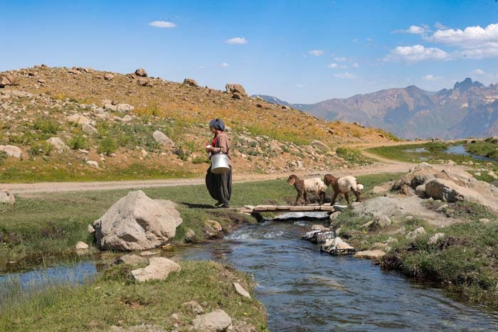 Annesi kabul etmedi ama vazgeçmedi Nereye gitsem peşimden geliyorlar Annesi kabul etmedi ama vazgeçmedi Nereye gitsem peşimden geliyorlar