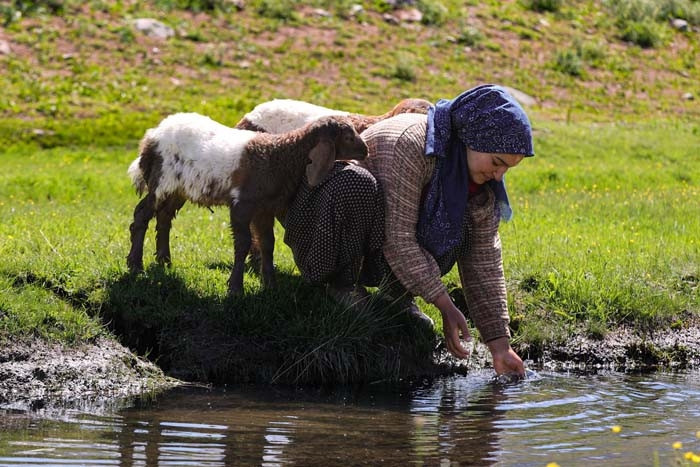 Annesi kabul etmedi ama vazgeçmedi Nereye gitsem peşimden geliyorlar Annesi kabul etmedi ama vazgeçmedi Nereye gitsem peşimden geliyorlar