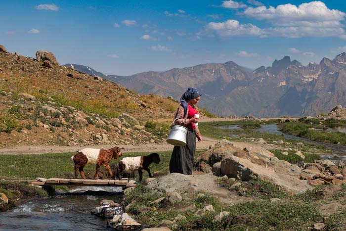 Annesi kabul etmedi ama vazgeçmedi Nereye gitsem peşimden geliyorlar Annesi kabul etmedi ama vazgeçmedi Nereye gitsem peşimden geliyorlar