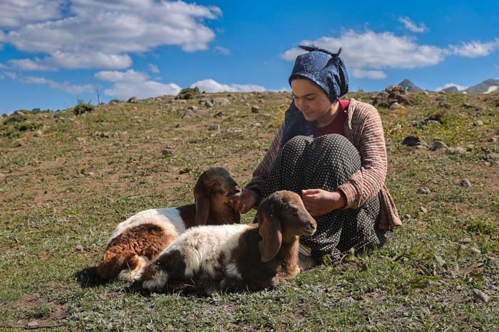 Annesi kabul etmedi ama vazgeçmedi Nereye gitsem peşimden geliyorlar Annesi kabul etmedi ama vazgeçmedi Nereye gitsem peşimden geliyorlar