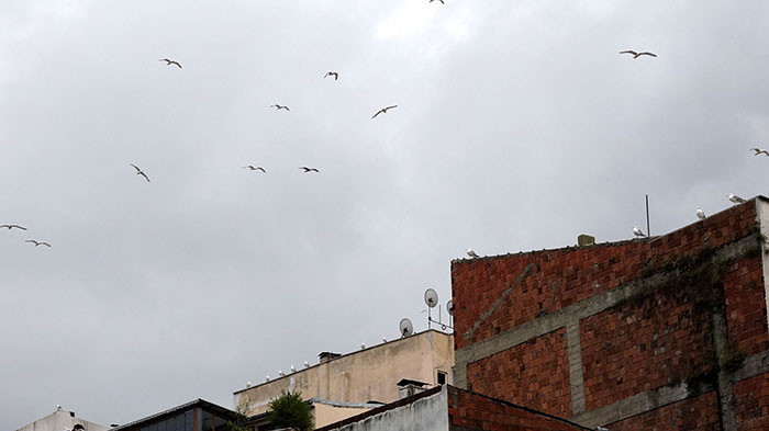 Kent sakinleri rahatsız Önceden korkarlardı, artık korkmuyorlar Kent sakinleri rahatsız Önceden korkarlardı, artık korkmuyorlar