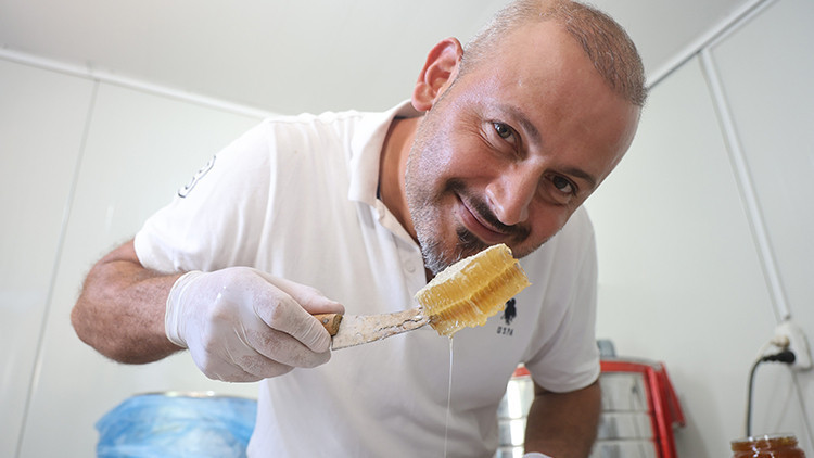 Hatay'da yağışlı mevsim bitki çeşitliliğini artırdı: Arıcılar yüksek rekolte beklentisiyle sağım sezonunu açtı