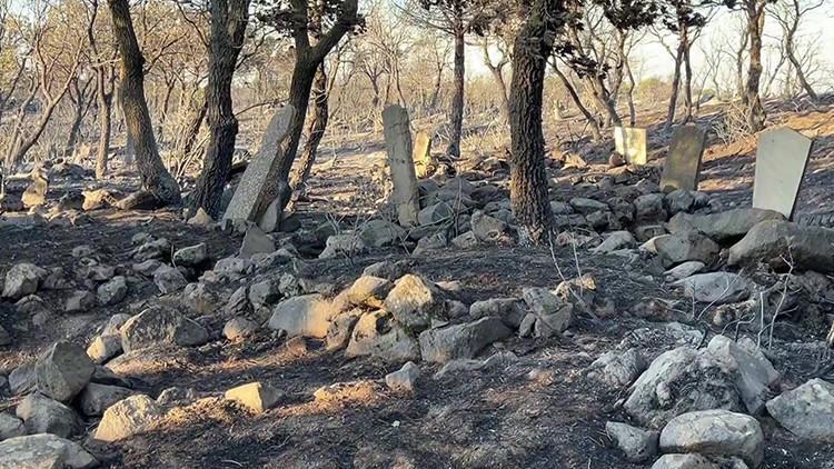 Ayvalık'ta alevlerin ulaştığı köy mezarlığı yangında hasar gördü