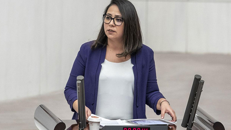 TİP Milletvekili Sera Kadıgil hakkında ‘Cumhurbaşkanına hakaret’ ve ‘tehdit’ suçlarından soruşturma
