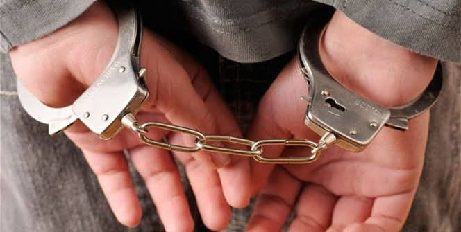 Haksız yollarla Türk vatandaşlığı kazandırdığı belirlenen suç örgütü operasyonunda 32 zanlı tutuklandı