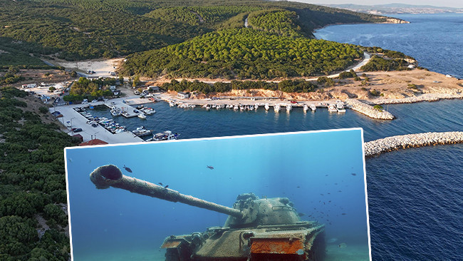 10 metre derinliğe batırıldı: Meraklısının gözdesi oldu! 'Dünyada bunun çok fazla örneği yok'