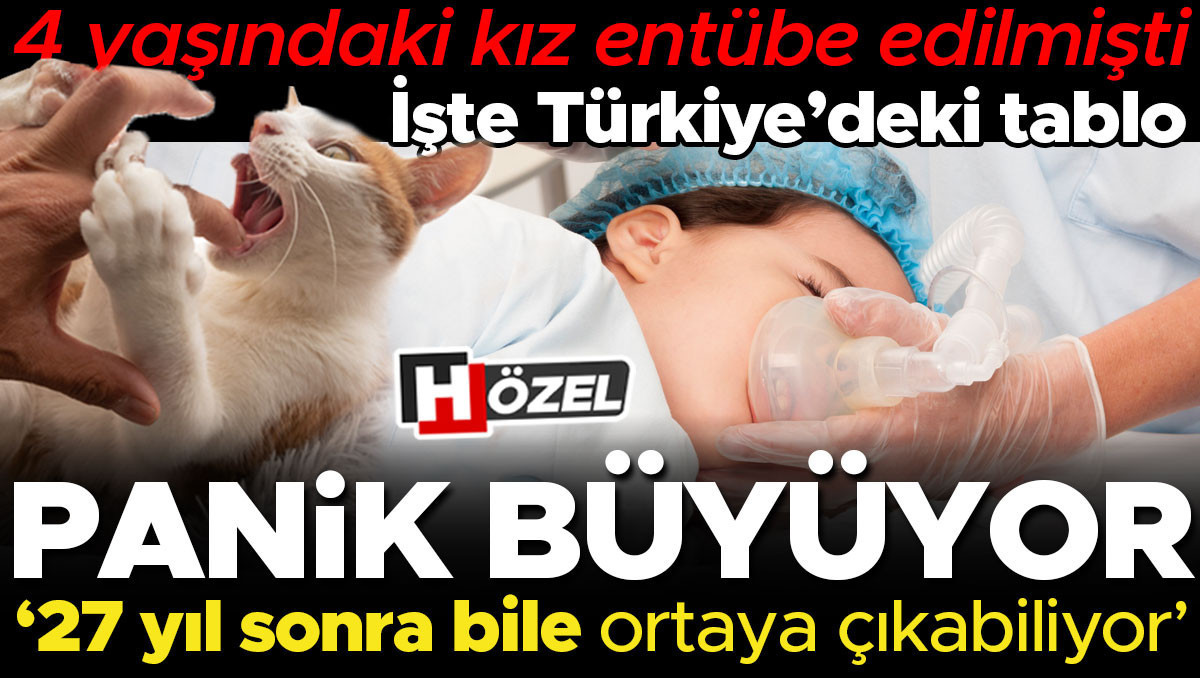 Kuduz paniği büyüyor! Gerçekten korkmamız gerekiyor mu? İşte A’dan Z’ye bilmeniz gerekenler