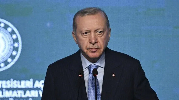 Cumhurbaşkanı Recep Tayyip Erdoğan, Brezilya Devlet Başkanı Silva ile görüştü