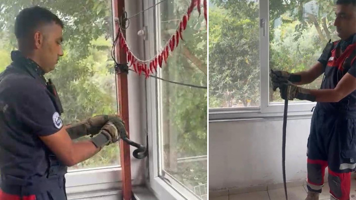 Hatay'da yılan evin pencere arasına sıkıştı!