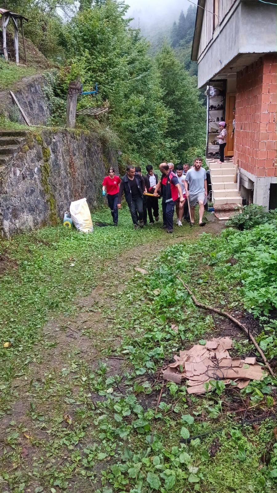 Artvin Haberleri - Artvin’de yüksekten düşen fındık işçisi yaralandı - Yerel Haberler