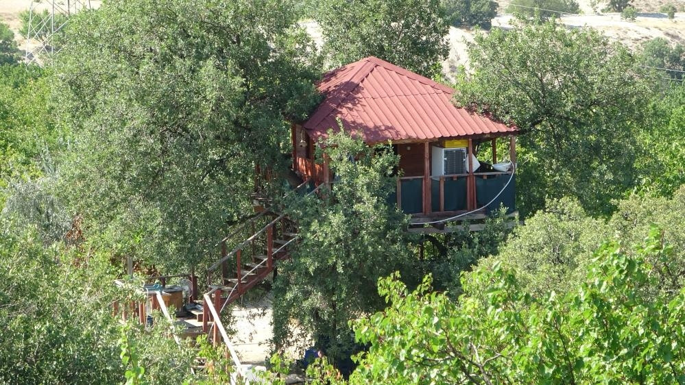 150 yıllık ağacın üzerine yaptı: Bir daire fiyatına mal oldu Karadenizden bir arkadaşım geldi, tavsiye etti