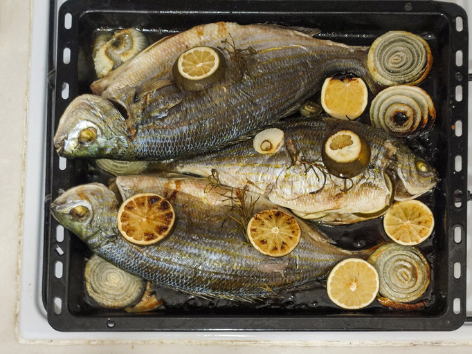 Levrek ve çipura Omega-3 kaynağı