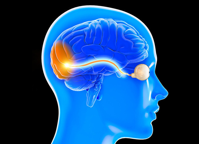 Tıp tarihinde bir ilk Retinal nakil yapıldı, yıllar sonra yeniden görmeye başladı