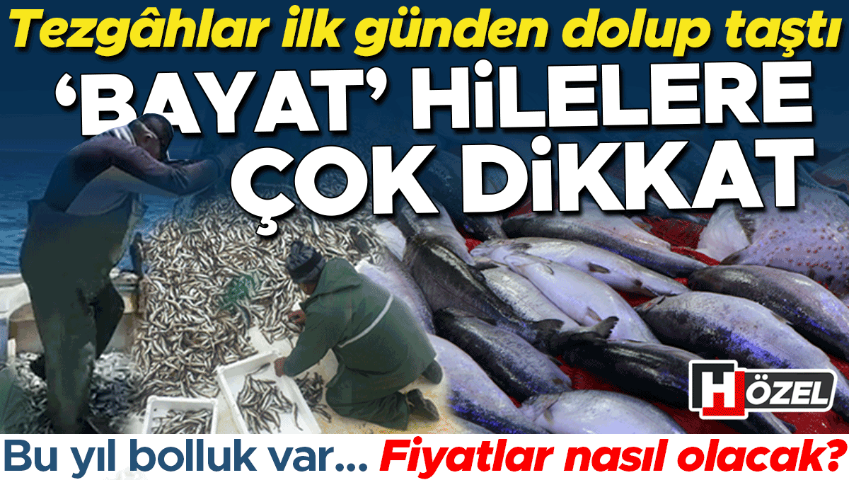 Bu sene palamut bolluğu yaşanıyor... Balık fiyatları ne olacak? Aman tezgahlardaki ‘bayat’ hilelere çok dikkat!