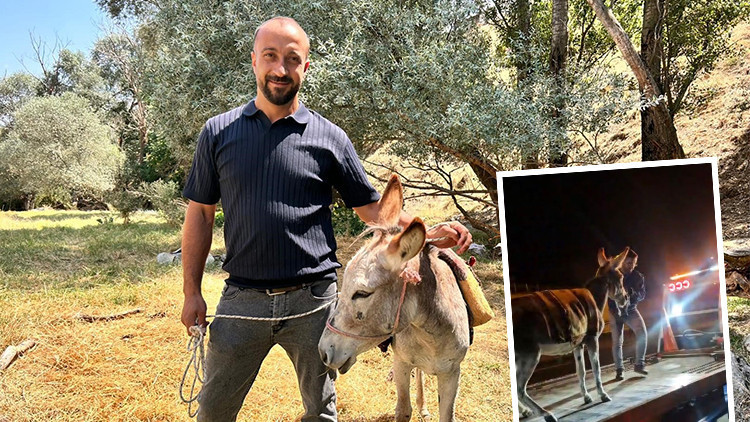 Eşeğinin başına gelenleri duyunca inanamadı: Arkadaşı link atıp haber verdi | 'Videoyu izleyince hemen 112'yi aradım'