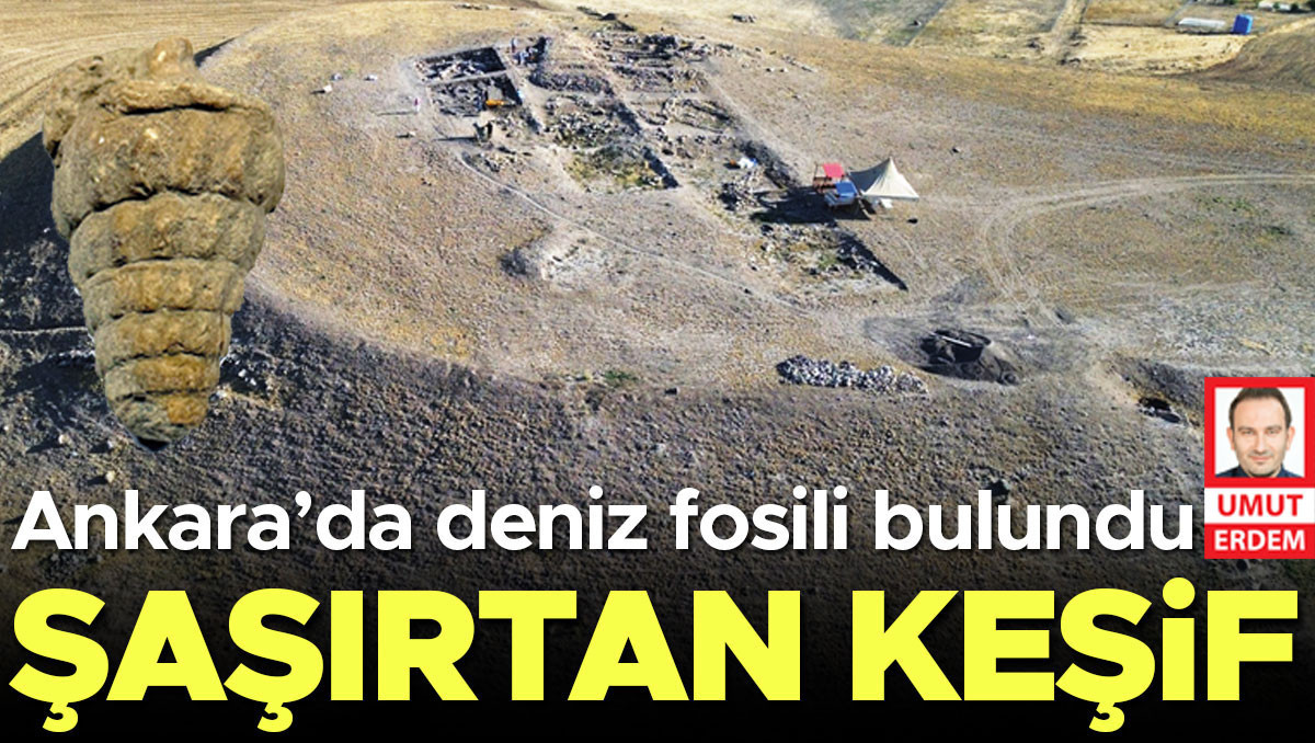 Başkentte şaşırtan keşif: Ankara’da deniz fosili bulundu