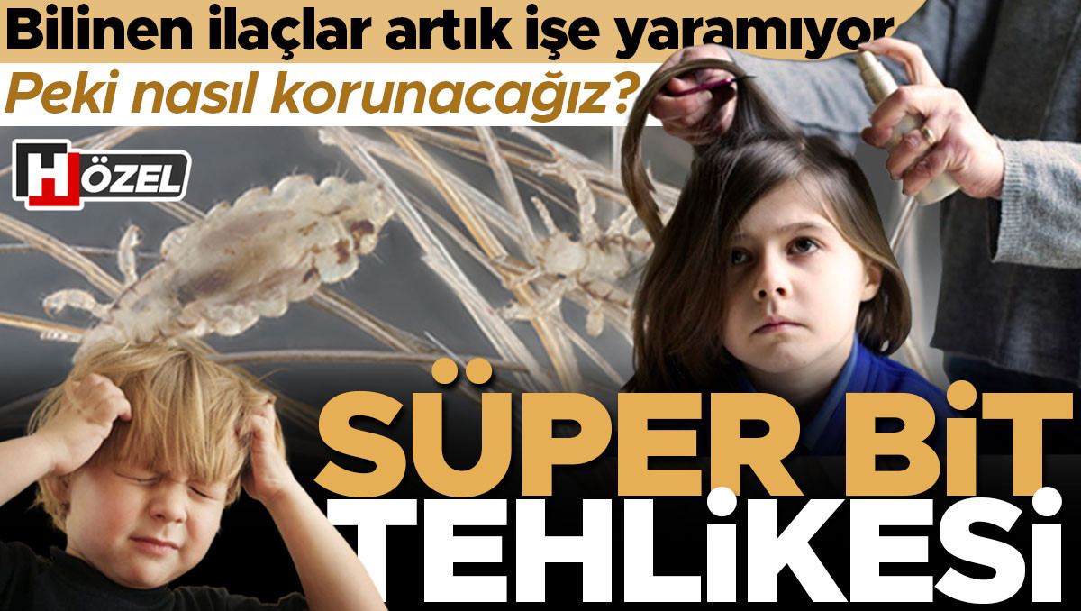 ‘Süper bit’ tehlikesi! Geleneksel ilaçlar artık işe yaramıyor, doğal yöntemler de etkisiz... Peki nasıl korunacağız?