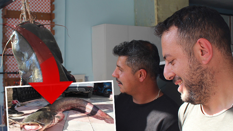 3 arkadaş gözlerine inanamadı! Sivas'taki nehirde tuttular: Tam 190 santim uzunluğunda
