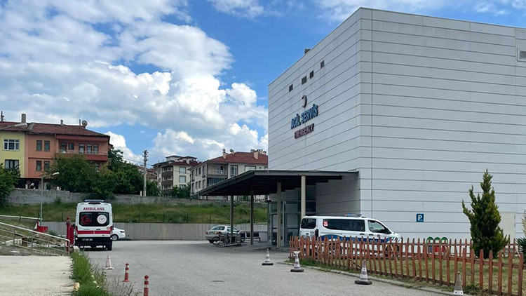 Dağda ağaç keserken arı soktu: 65 yaşındaki işçi hayatını kaybetti