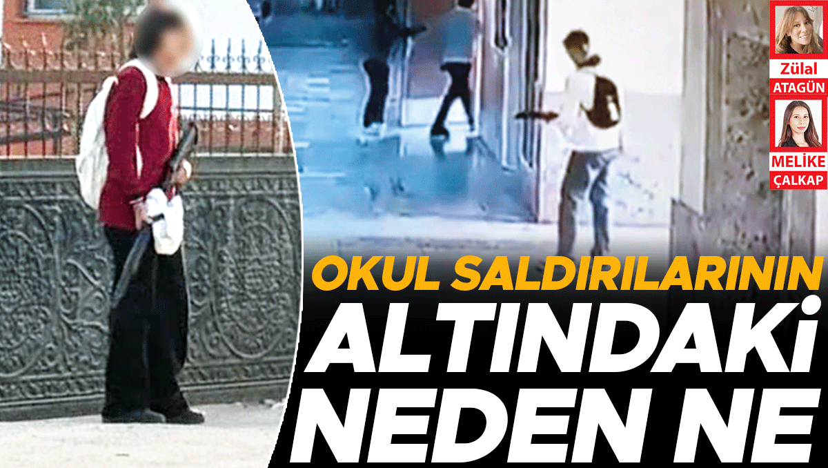 Okul saldırılarının altındaki neden ne