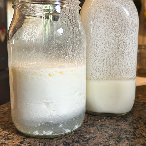 Şişedeki şifa şüphesi: Hazır kefir ve kombucha gerçekten faydalı mı?